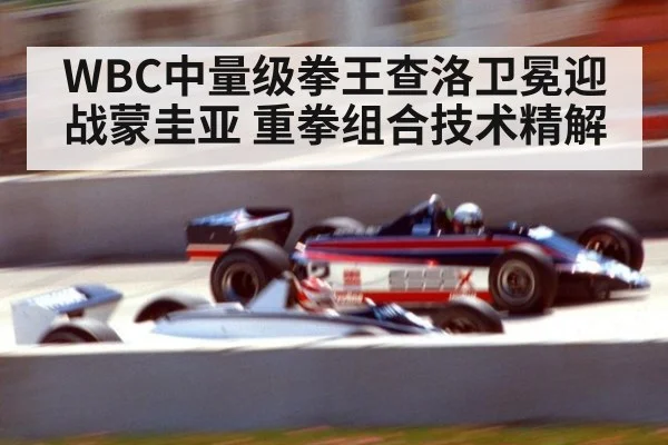 WBC中量级拳王查洛卫冕迎战蒙圭亚 重拳组合技术精解